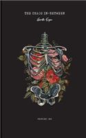 The Chaos In-Between