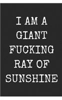 I Am A Giant Fucking Ray Of Sunshine: Funny Blank Lined Journal For Adults