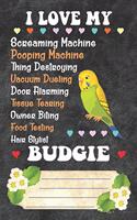 I Love My Budgie Notebook Journal: 110 Blank Lined Paper Pages 6x9 Personalized Customized Notebook Journal Gift For Budgie Parakeet Parrot Bird Owners and Lovers