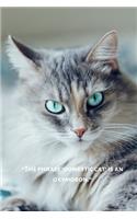 Notebook Journal: This Cat Notebook/ Cat Journal / Cat Women / For Cats Pets Lover (6x9 Journal) Lined Writing Notebook, 120 Pages Cat Gifts for Cat lovers. Compositi
