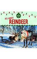 All about Reindeer: (It's Christmas!)