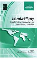 Collective Efficacy