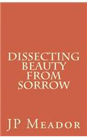 Dissecting Beauty From Sorrow