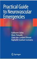 Practical Guide to Neurovascular Emergencies