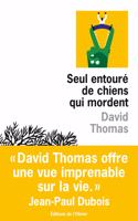 Seul entoure de chiens qui mordent