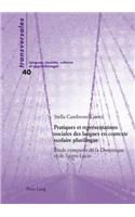 Pratiques et représentations sociales des langues en contexte scolaire plurilingue