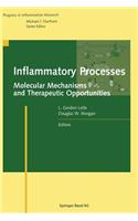 Inflammatory Processes:: Molecular Mechanisms and Therapeutic Opportunities