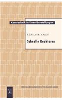 Schnelle Reaktoren