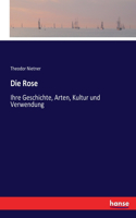 Rose: Ihre Geschichte, Arten, Kultur und Verwendung