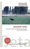 Bearded Collie