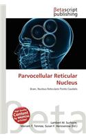 Parvocellular Reticular Nucleus: (English)