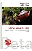 Fusinus Carvalhoriosi: (English)