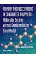 Primary Photoexcitations In Conjugated Polymers: Molecular Exciton Versus Semiconductor Band Model