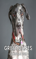 Great Danes