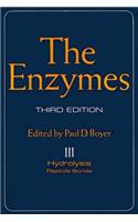 The Enzymes