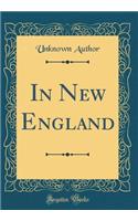 In New England (Classic Reprint)