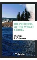 The Proteins of the Wheat Kernel