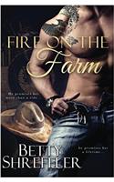 Fire On The Farm (Second Chance Cowboy Romance)