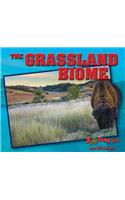 Grassland Biome
