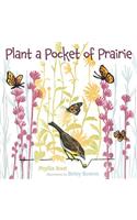 Plant a Pocket of Prairie