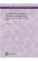 Consumer Participation in Infrastructure Regulation