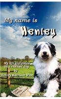 My Name Is Henley