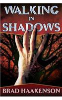 Walking in Shadows: The Shadow Walker