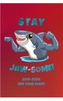 Stay Jaw-some! 2019-2020 Mid Year Diary