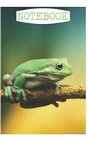 Notebook: Cute Frog Notebook/Journal for Animal Lovers to Writing (6x9 Inch.) College Ruled Lined Paper 120 Blank Pages for Children (Yellow&Green&Blue Patter