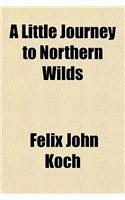 A Little Journey to Northern Wilds