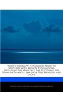 What's Wrong with Common Sense? 10 Mysteries with Logical Explanations, Including the Mars Face, the Ica Stones, the Bermuda Triangle, the Loch Ness Monster, and More