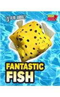 Fantastic Fish