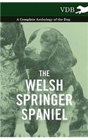 The Welsh Springer Spaniel - A Complete Anthology of the Dog: (English)