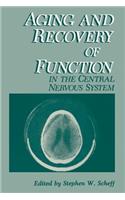 Aging and Recovery of Function in the Central Nervous System