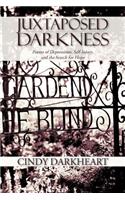 Juxtaposed Darkness: Poems of depressions, self-injury, and the search for hope(English)