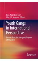 Youth Gangs in International Perspective