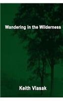 Wandering in the Wilderness