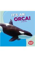 It's an Orca!: (Bumba Books — Polar Animals)