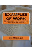 Examples of Work: Some Subjects and Photographic Styles of the Author