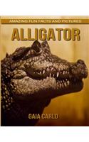 Alligator