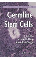 Germline Stem Cells