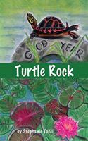 Turtle Rock