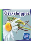 Grasshopper