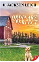 Ordinary Is Perfect