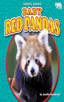 Baby Red Pandas: (Animal Babies Set Two)