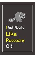 I Just Really Like Raccoons, OK !