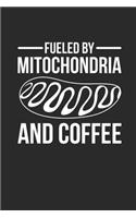 Fueled By Mitochondria