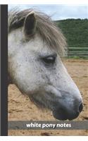 white pony notes