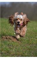 Cute American Cocker Spaniel Running Journal
