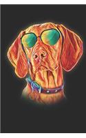 Vizsla